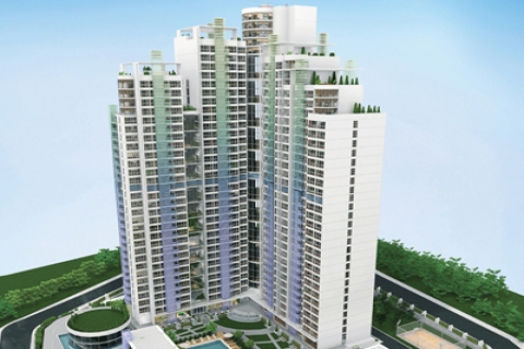 Aquila Kartal ön talep toplamaya başladı! 190 bin TL'ye!