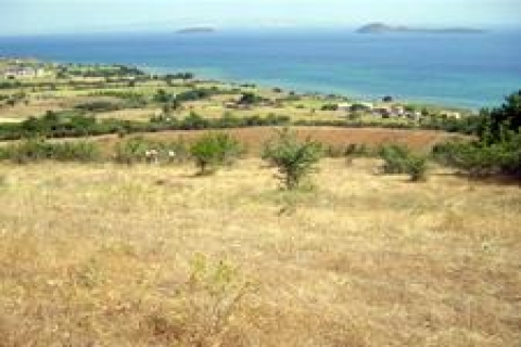 Marmaris'teki 50 yıllık arazi davasına AİHM'den ceza