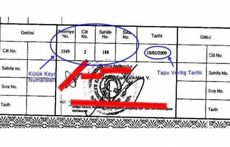 Tapuda geldisi ne demek?