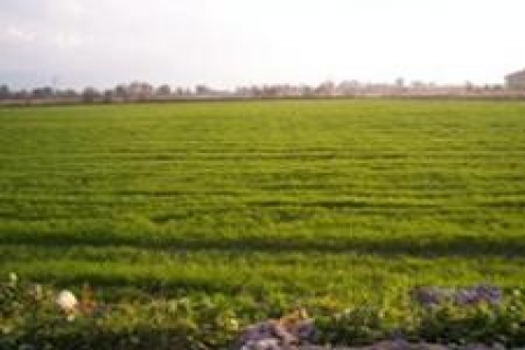 Tuzla Belediyesi'nden satılık arsa!