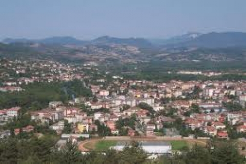  Bartın'da icradan 2.6 milyon TL'ye satılık fabrika!