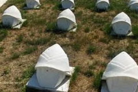 çanakkale Ağadere'de şehit mezarlarının yerleri tespit ediliyor!