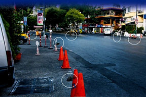  Bebek'te fare avına çıkıldı, ilaçlama yapıldı! 