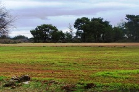 DTZ Pamir, 18 dönümlük arsa satıyor!