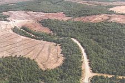 Orman parselasyon çalışmaları başladı!