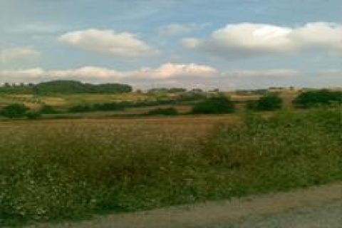 Şile'de 9 satılık tarla