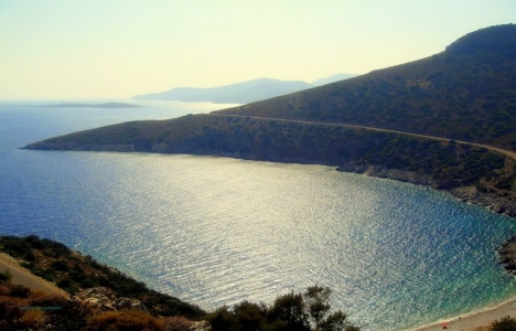 Şener Şen emlak zengini çıktı!