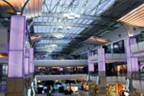 Capitol ağacı Van'da yeşerecek