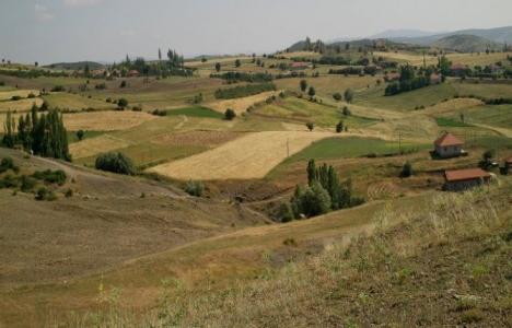 Yabancı yatırımcılar 19 ilde 1830 dekar tarım arazisi satın aldı!
