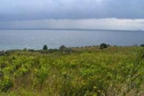 Tekirdağ Şarköy'de 64 adet satılık gayrimenkul!