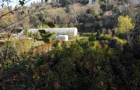 Kuzguncuk Bostanı imara açılmıyor!