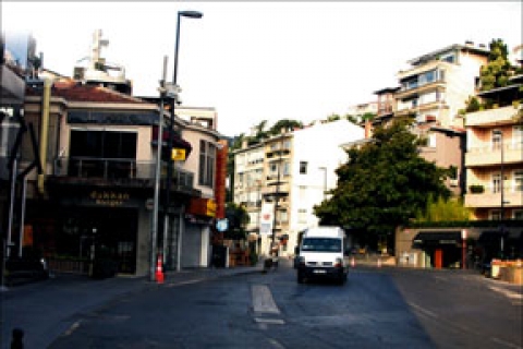  Bebek semtini fareler bastı! 