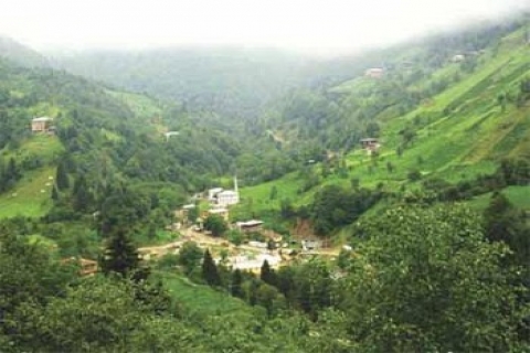  Rize Çayeli Büyük Köy vadisine beton suyu karışıyor!