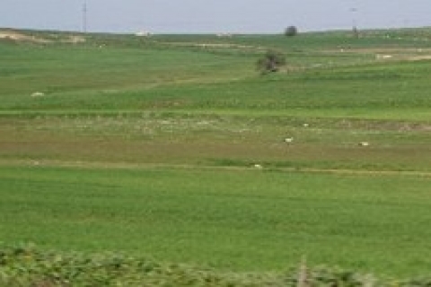 Karacabey Belediyesi, 8 gayrimenkulu 1,4 milyon TL'den satıyor!