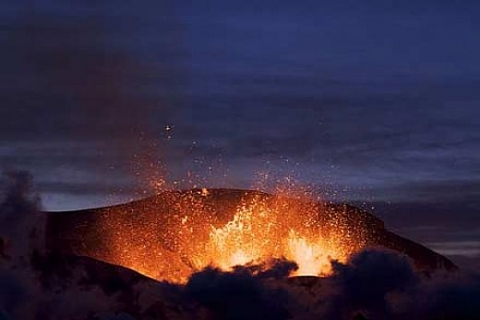İzmir'de icradan satılık 5 zeytin havi tarla!