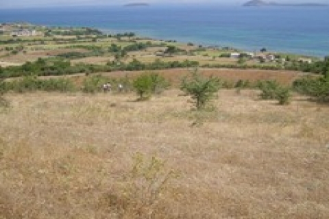 Büyükçekmece'de icradan 2 milyon 891 bin TL'ye satılık arsa!