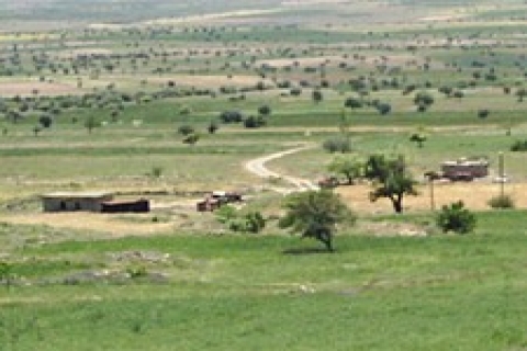 Arazide iştirak halinde mülkiyet nedir