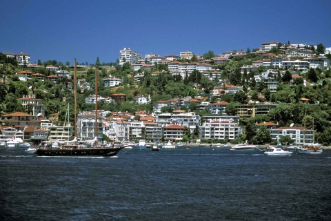 Bebek semtindeki fare sorunuyla ilgili belediye açıklama yaptı! 