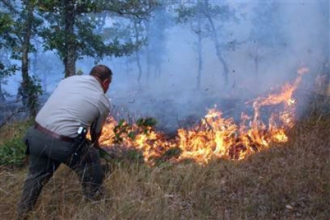 Hatay'da 8 noktada aynı anda çıkan orman yangınları sabotaj mı?