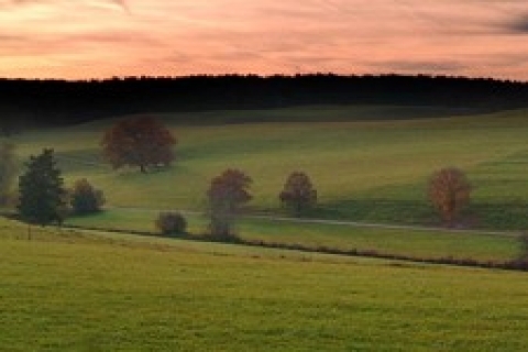 Pendik'te 125 bin TL'ye arsa! İcradan!