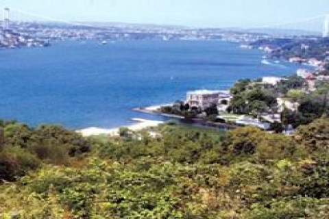 Suudi Kral Abdullah'a 28 yıl sonra Sevda Tepesi izni!