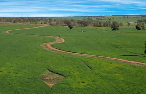 Tersine 2B uygulaması üzerinde çalışılmaya başlandı! 