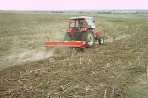 Mardin İl Özel İdaresi'nden satılık tarla