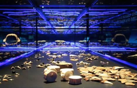  Köpekbalığı Dünyası Sergisi 27 Kasım'da Trump Towers Mall'da! 