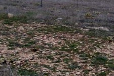 Milli Emlak, Afyonkarahisar 'da ham toprak satıyor!