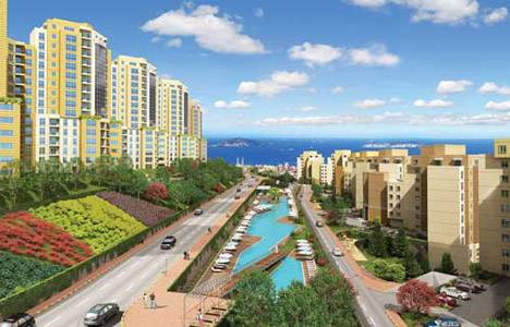 Niş Adalar görselleri!