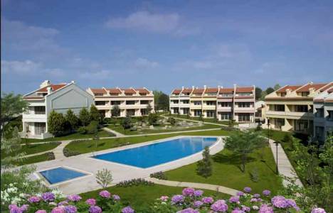 İnşaatların kuşları nasıl etkileyeceğini gösteren uygulama çıkarıldı!