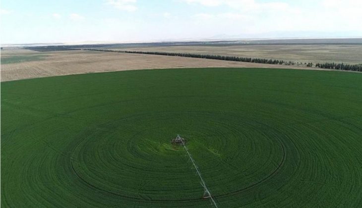 Emlakçılardan çiftçilere ‘İmar tamamlanana kadar arazinizi ekmeyin’ çağrısı!