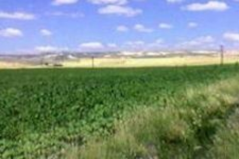 İBB'den Kağıthane'de 52 bin TL'ye satılık arsa!