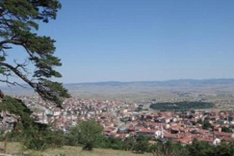 Gerede Yeşilvadi 'de 49 yıllığına 648 dönüm tarla!