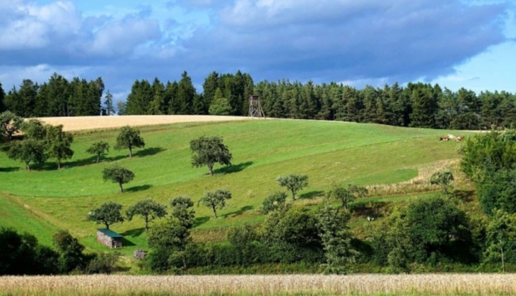2B arazi satış başvurusu nasıl yapılır? İşte gerekli belgeler!
