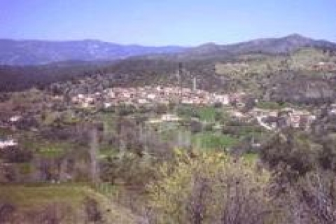 Vakıflar'dan Gaziantep'te 13 kiralık gayrimenkul