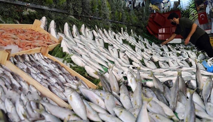 İstanbul Balık Hali 17 Mayıs fiyatları belli oldu! İşte İstanbul Balık Hali 17 Mayıs 2022 fiyat listesi...