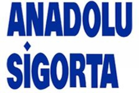 Anadolu Sigorta Konut Mini Onarım hizmeti verecek!