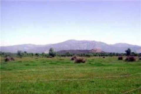 Vakıflar, Şanlıurfa'da gayrimenkul satacak!