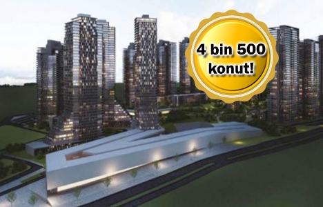 West Avenue projesi geliyor! Yeni proje!