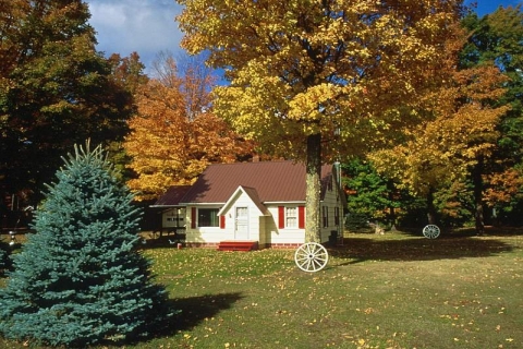  Doğayla uyumlu ev yapma kılavuzu!