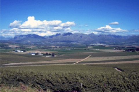 İBB'den Zeytinburnu'nda satılık arsa