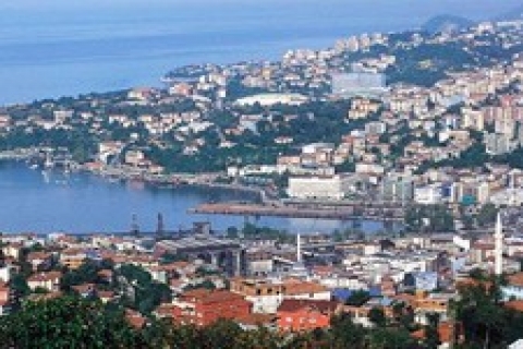 Zonguldak'ta Milli Emlak'tan satılık büro ve arsa!