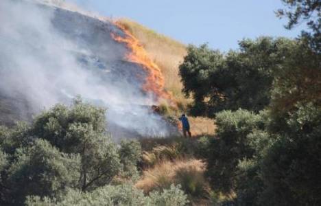 Aydın'da çıkan yangında 1 hektar arazi kül oldu!