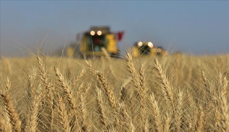 Karadeniz’deki gerilim tırmandı: Buğday fiyatları uçtu!