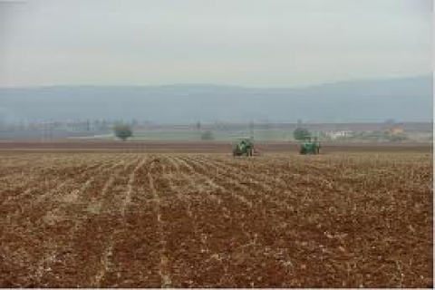  Antalya Aksu'da 1.6 milyon TL'den satılık tarla! 