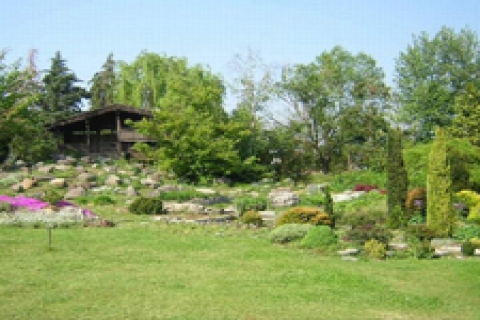 Türkiye Kalkınma Bankası'ndan kiralık gayrimenkul