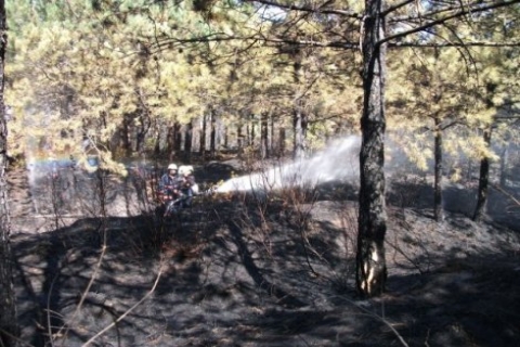 Zekeriya Mere: Ayazağa'daki yangın sabotaj olabilir!
