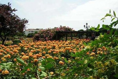 Göztepe Parkı yeşil mi kalsın cami mi olsun tartışması!