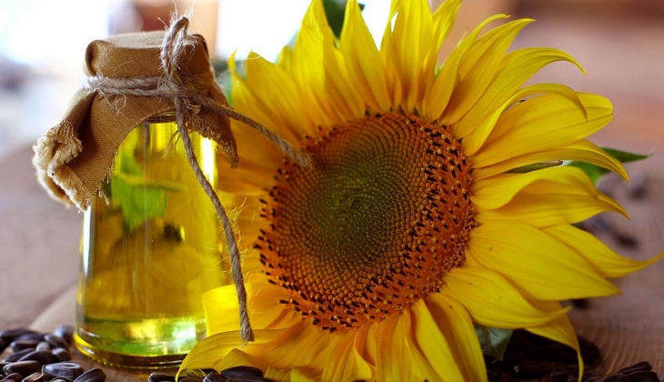 Carrefour'un indirimleri Şubat ayına damga vuracak! Ayçiçek yağı fiyatını duyanlar 'yok artık' diyeceksiniz